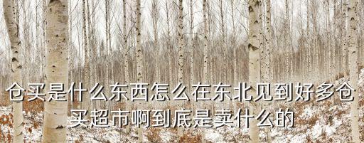 倉(cāng)買是什么東西怎么在東北見(jiàn)到好多倉(cāng)買超市啊到底是賣什么的