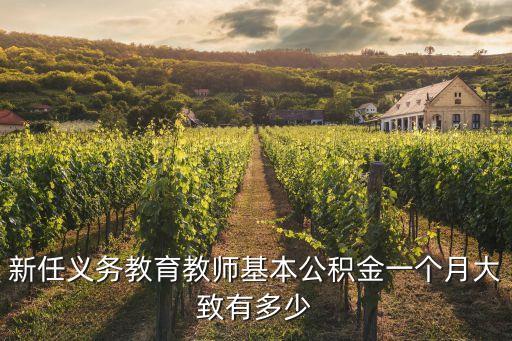 新任義務(wù)教育教師基本公積金一個月大致有多少