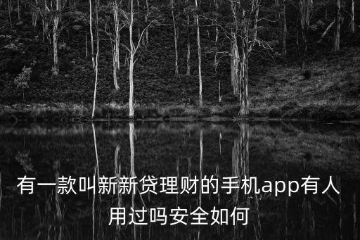 新新貸，新新貸風(fēng)控怎么樣