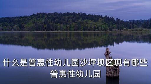 普惠性幼兒園，請問什么是普惠性