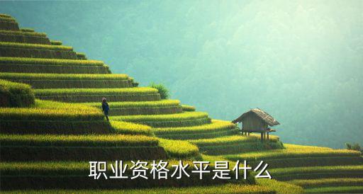 執(zhí)業(yè)資格是什么，執(zhí)業(yè)資格和職稱是什么關(guān)系
