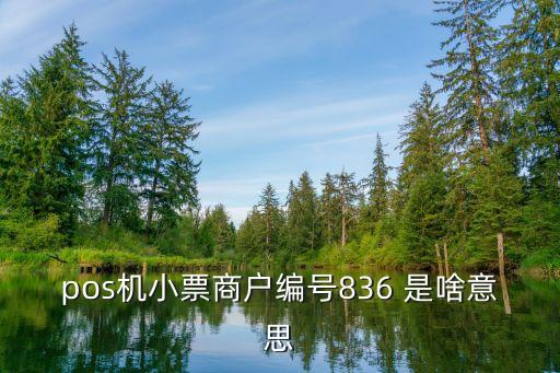 836，836是什么意思