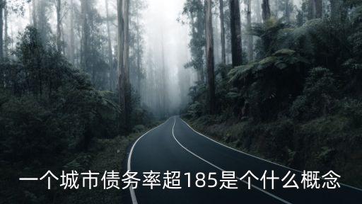 一個城市債務率超185是個什么概念