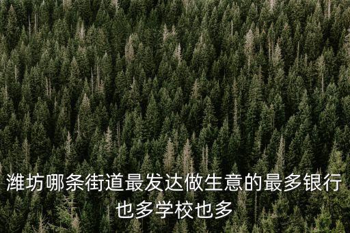 濰坊街道，濰坊從東到西都有什么街道