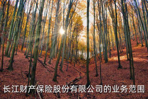 長江保險(xiǎn)，CJCX是哪個(gè)保險(xiǎn)公司