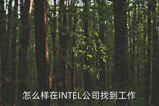 怎么樣在INTEL公司找到工作