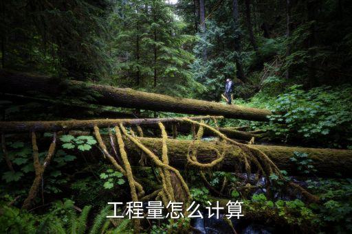 如何計(jì)算，算平方面積怎么算