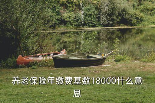 養(yǎng)老保險年繳費基數(shù)18000什么意思