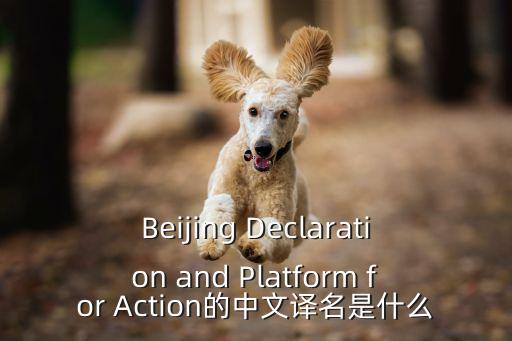 北京宣言，Beijing Declaration and Platform for Action的中文譯名是什么