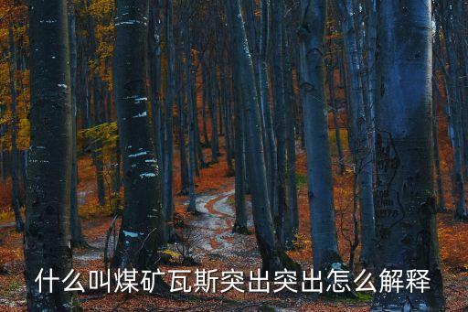 什么叫煤礦瓦斯突出突出怎么解釋