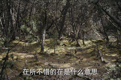 在所不惜的在是什么意思