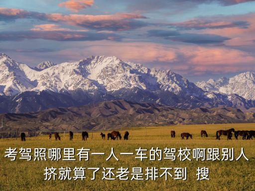 一人一車，代駕服務(wù)為一人一車服務(wù)是什么意思