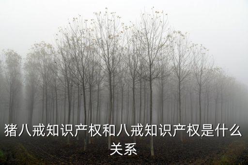 八戒知識產(chǎn)權(quán)，豬八戒知識產(chǎn)權(quán)和八戒知識產(chǎn)權(quán)是什么關(guān)系