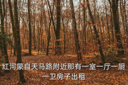 紅河租房，紅河蒙自天馬路附近那有一室一廳一廚一衛(wèi)房子出租