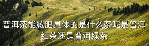 鄒家駒，鄒記普洱茶的茶廠地址在哪