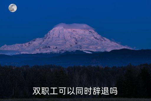雙職工，雙職工什么意思