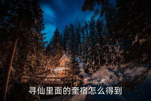 尋仙里面的奎宿怎么得到