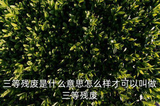 殘廢的意思，什么叫兩級(jí)殘廢