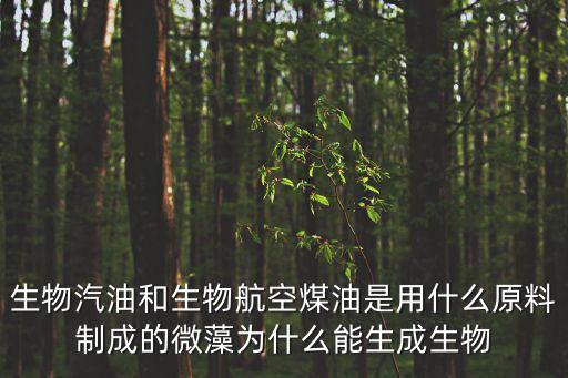 生物汽油，生物汽油和生物航空煤油是用什么原料制成的微藻為什么能生成生物