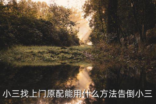小三找上門原配能用什么方法告倒小三