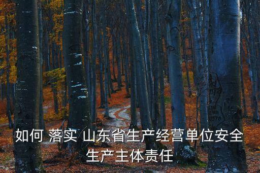 如何 落實(shí) 山東省生產(chǎn)經(jīng)營單位安全生產(chǎn)主體責(zé)任