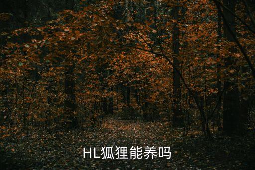 HL狐貍能養(yǎng)嗎
