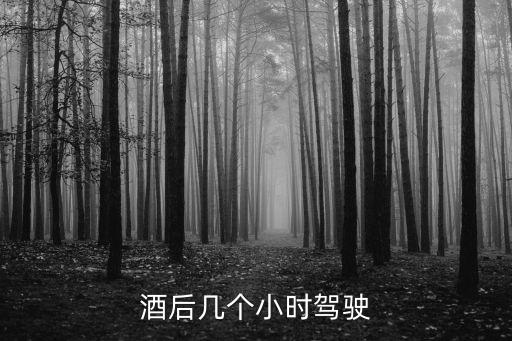 喝酒以后多久可以開車，喝酒后多久才能駕車