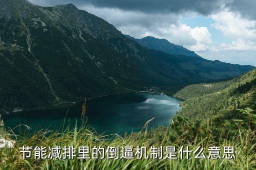倒逼機制，節(jié)能減排里的倒逼機制是什么意思