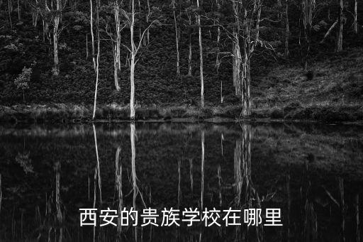 西安四大貴族學(xué)校，西安的貴族學(xué)校在哪里