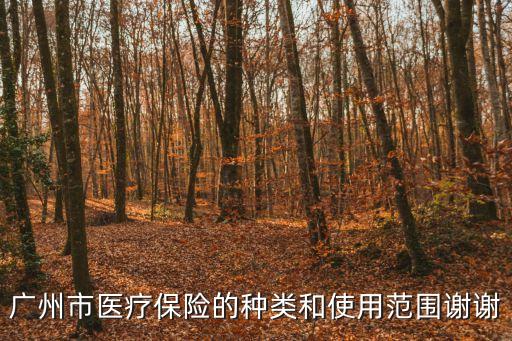 廣州市醫(yī)療保險的種類和使用范圍謝謝