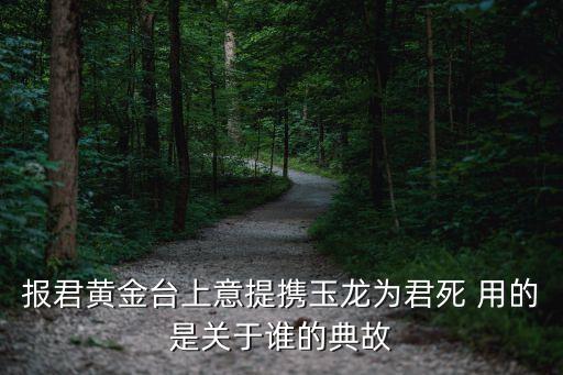 報君黃金臺上意提攜玉龍為君死 用的是關(guān)于誰的典故
