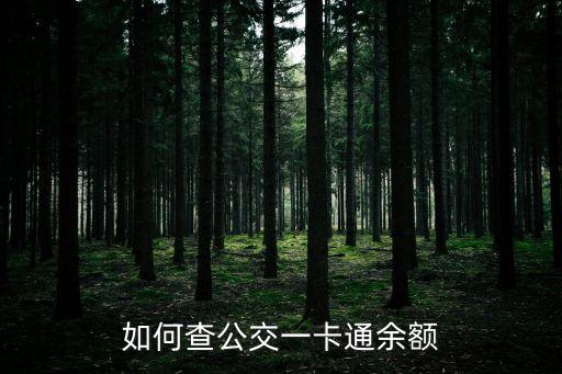 如何查公交一卡通余額