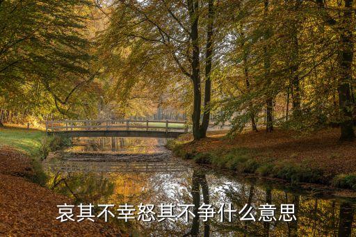 哀其不幸怒其不爭(zhēng)什么意思
