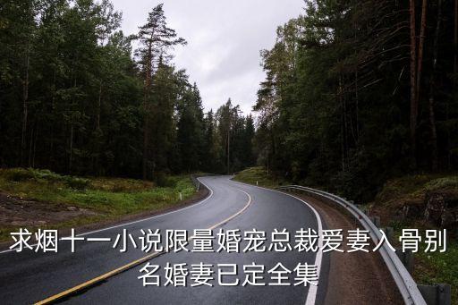 求煙十一小說限量婚寵總裁愛妻入骨別名婚妻已定全集