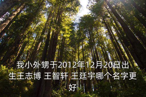 王志博，我小外甥于2012年12月20日出生王志博 王智軒 王廷宇哪個名字更好