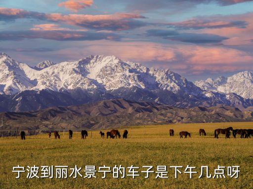 12302，寧波到景寧的直達(dá)大巴在哪什么時(shí)間需要多少時(shí)間到速求