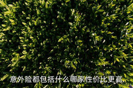 意外險(xiǎn)，意外險(xiǎn)都包括什么哪家性價(jià)比更高