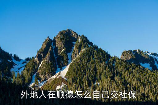 順德社保，我 是外地人在佛山順德怎么買社保