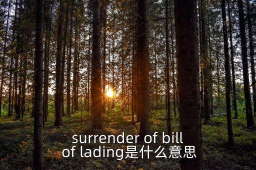 surrender of bill of lading是什么意思