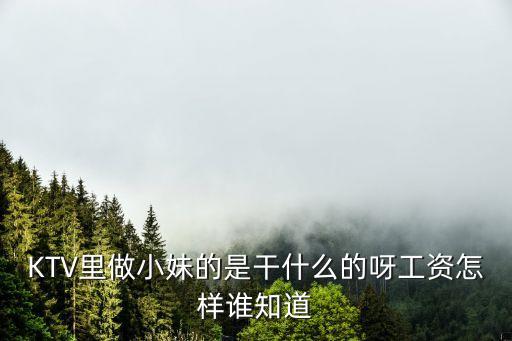 歌廳小姐，ktv小妹是什么意思