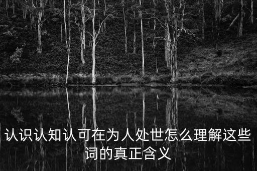 認(rèn)可的意思，認(rèn)可什么意思