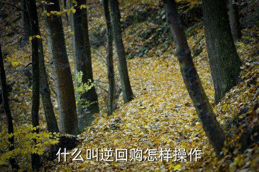 債券逆回購，債券逆回購怎么買