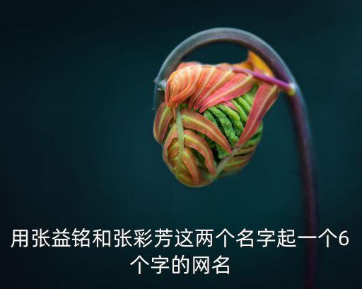 用張益銘和張彩芳這兩個名字起一個6個字的網(wǎng)名