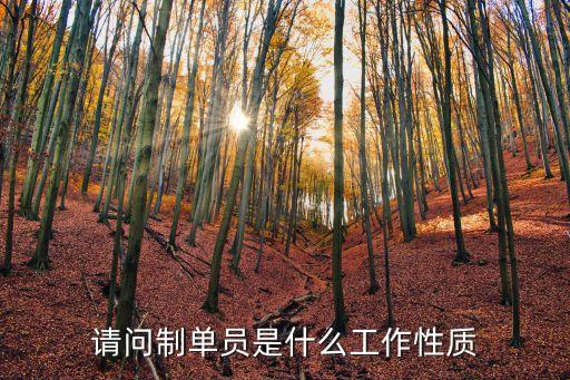 制單，會計里面什么叫 制單