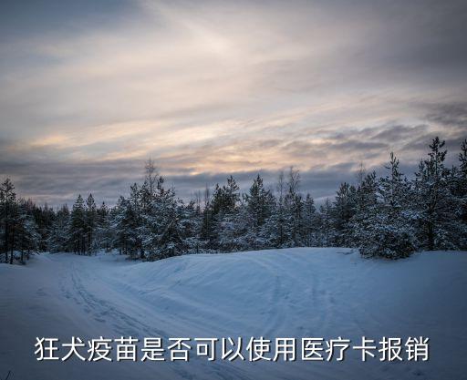 狂犬疫苗是否可以使用醫(yī)療卡報銷