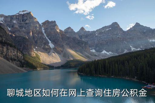 聊城地區(qū)如何在網(wǎng)上查詢住房公積金