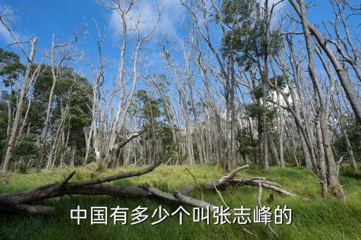 中國有多少個叫張志峰的