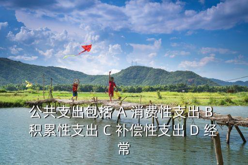 公共支出包括 A 消費(fèi)性支出 B 積累性支出 C 補(bǔ)償性支出 D 經(jīng)常