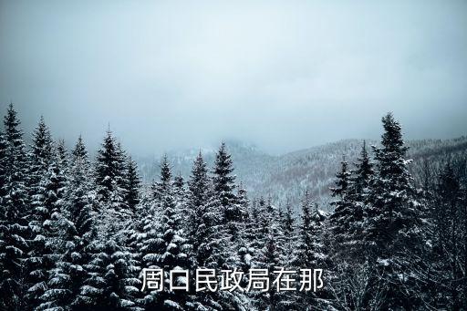 周口市民政局，周口民政局什么時候放假