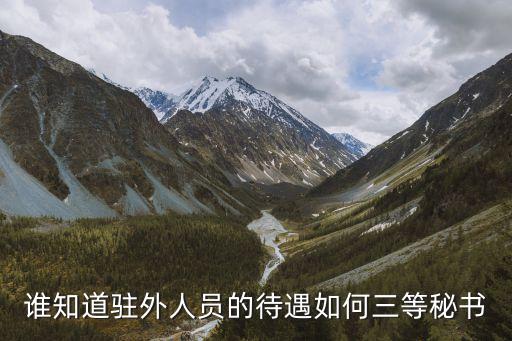 一等秘書，使館有哪些職務